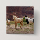 Search for stallions badges Animal