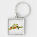 Search for frog key rings Scales