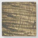 Search for environment barware Nature