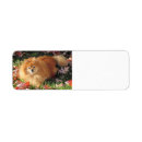 Search for pomeranian dog return address labels Cute