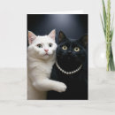 Search for black and white cat birthday cards Cute