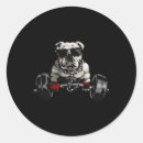 Search for sculpting stickers Bodybuilding