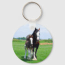 Search for draught key rings Clydesdale