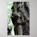 Search for sprite posters Nature