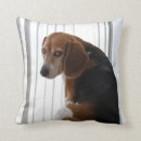 Search for beagle cushions Dogs