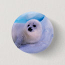 Search for harp seal badges Pup