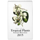 Search for tropical calendars Illustration