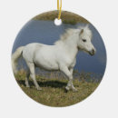 Search for miniature horse christmas tree decorations Running