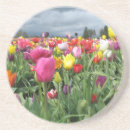 Search for pretty tulips barware Floral