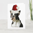 Search for boston christmas cards Animals