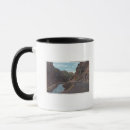 Search for the evergreen state mugs Denver