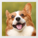 Search for dog window decals Pets