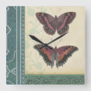 Search for insect clocks Wings