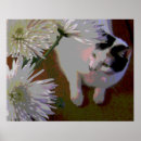 Search for chrysanthemum art Fine