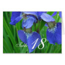 Search for blue flower table cards Flowers