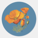 Search for cute flowers stickers Retro