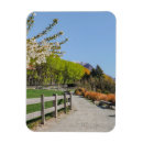 Search for backdrop magnets Nature