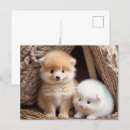 Search for cute baby animals postcards Sweet