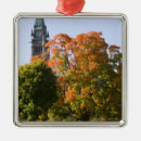 Search for ottawa christmas tree decorations Ie