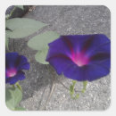 Search for square glossy stickers Floral