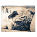 Search for pug calendars Dog