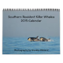 Search for orca photography Wildlife