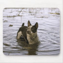 Search for queensland mousepads Dog
