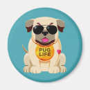 Search for funny animals magnets Cool