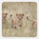 Search for kenya stickers Horizontal