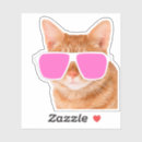 Search for ginger tabby stickers Funny cat