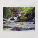 Search for stream postcards Tennessee
