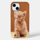 Search for orange tabby iphone cases Young animal