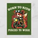 Search for dog on motorcycle postcards For him