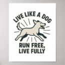 Search for free running posters Animal