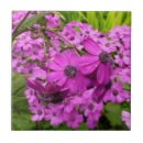 Search for purple flower tiles Garden