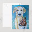 Search for perros postcards Dog