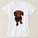 Search for dappled tshirts Dog