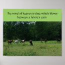 Search for horse breed posters Thoroughbred