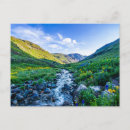 Search for flower meadow postcards Sky