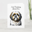 Search for shih tzu cards Friendship