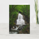 Search for spring tree cards Springtime