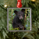 Search for cub christmas tree decorations Wild animals