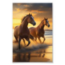 Search for beautiful scenery posters Wild