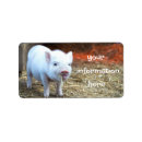 Search for piglet return address labels Farm