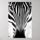 Search for zebra patterns posters Black