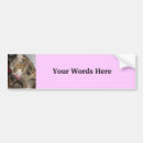 Search for photographer bumper stickers Cute