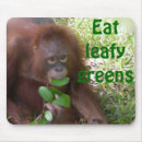 Search for vegetarianism electronics Animals