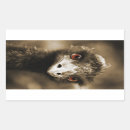 Search for ostrich stickers Portrait