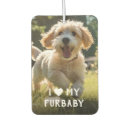 Search for funny animals car air fresheners Dog