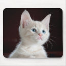 Search for cuties mousepads Animal